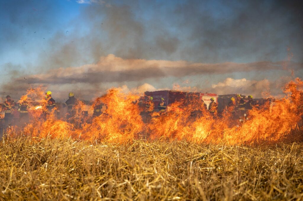fire, field, firefighting, wildfire, bushfire, firefighter, burning, smoke, meadow, grass, nature, catastrophe